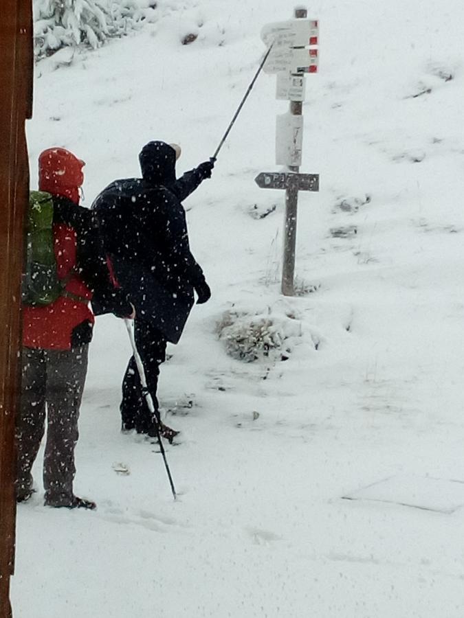 Rifugio Col De Varda Misurina Bagian luar foto